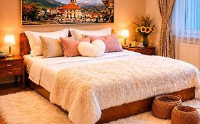 John Residence Brasov Old Town Apartments With Mountain View And Parking